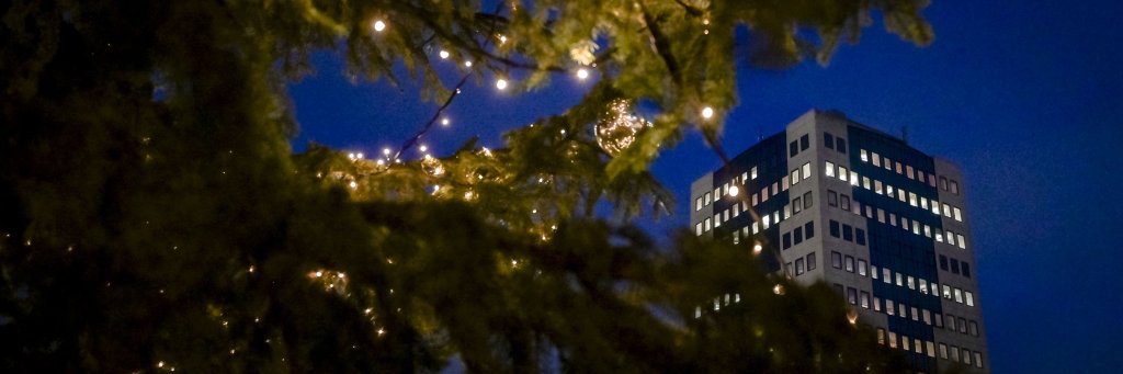 Kerstboom met lichtjes voor het gemeentehuis 