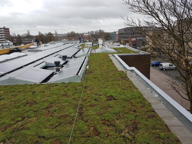 Groen dak op flatgebouw In Capelle aan den IJssel
