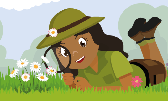 Illustratie: boswachter Isra ligt in een veld en bestudeert madeliefjes met haar loep.