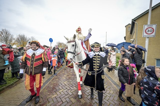 Sinterklaas op zijn paard tijdens de intocht.