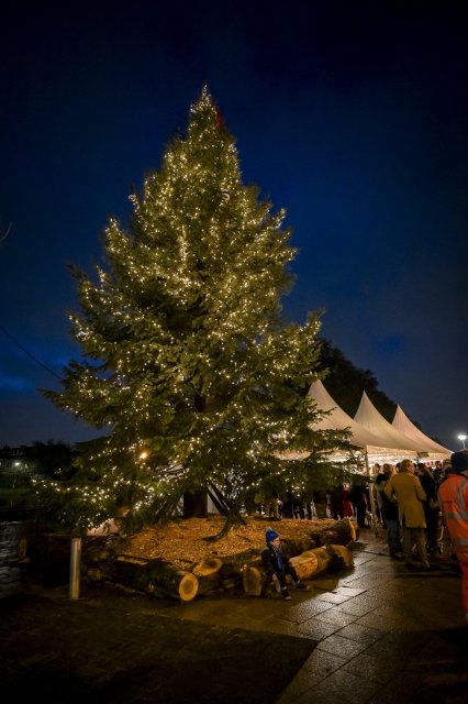 Capelse kerstboom 2023 - Fotograaf Jan Kok