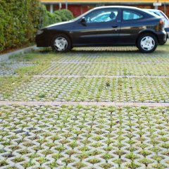Parkeerplekken met doorgroeibare verharding