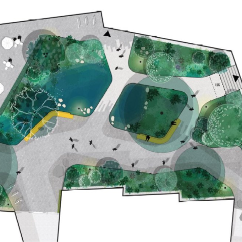 Voorlopige ontwerpimpressie van het Betaplein: een groen verblijfsplein met twee natuurlijke waterpartijen, bomen, beplanting, wandelroutes en zitgelegenheden tussen de omliggende gebouwen.