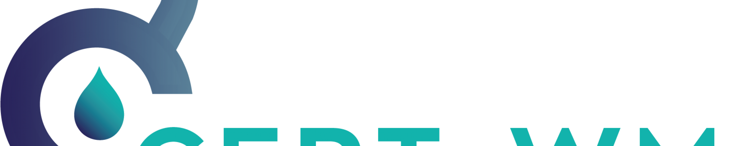 Logo CERT-WM