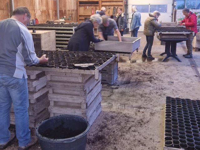Groep mensen doen zonnebloempitten in bakjes in een loods 