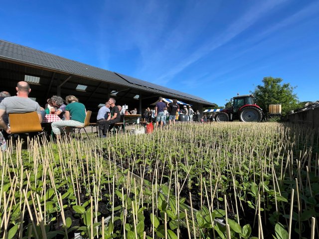 Mensen op een terras bij een border met heel veel  zonnebloem stekken