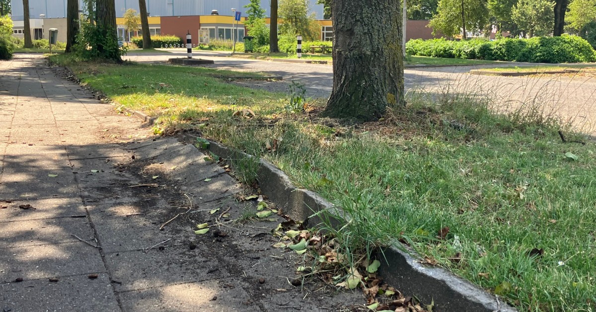 Huidige problematiek Vliersingel in Deurne