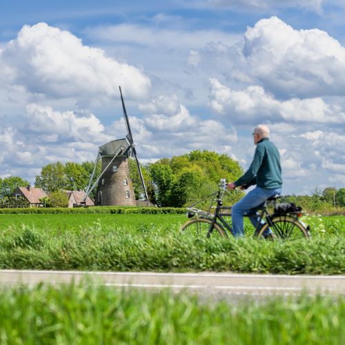 Een fietser met op de achtergrond een molen en een boerderij.