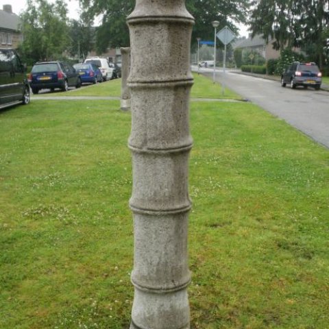 De schepping: bolgewas, stengel en pijp, foto van de pijp