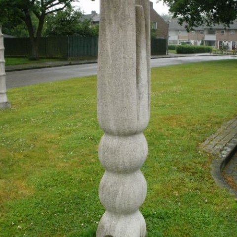 De schepping: bolgewas, stengel en pijp, foto van bolgewas