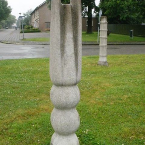 De schepping: bolgewas, stengel en pijp, foto van bolgewas