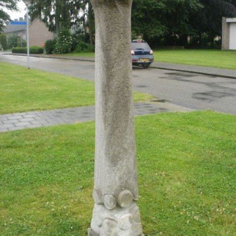 De schepping: bolgewas, stengel en pijp, foto van de ui