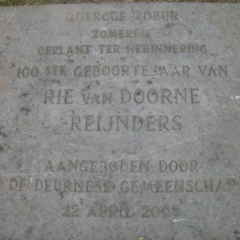 Close-up Kunstwerk Herinneringsplaat planten van een zomereik 2005, de tekst zoals ook beschreven in 'Beschrijving'