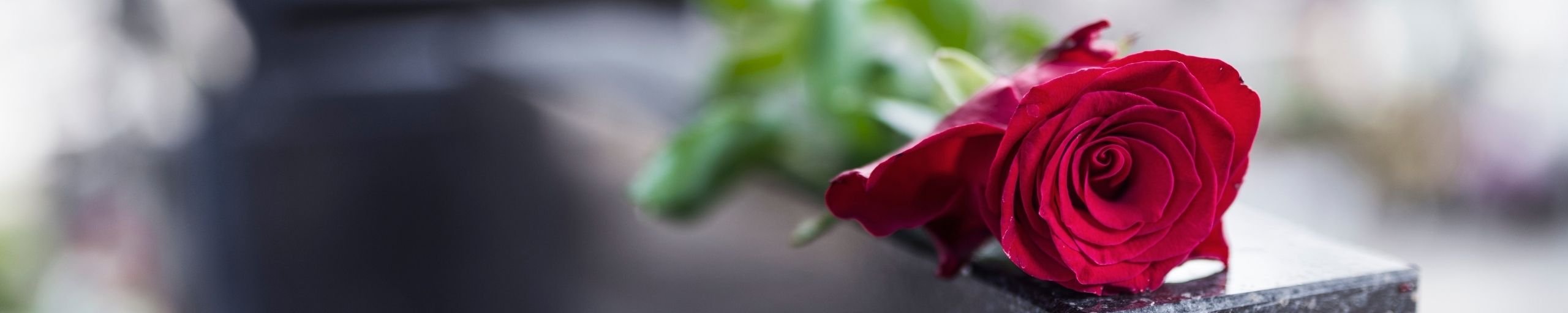 Headerafbeelding overlijden