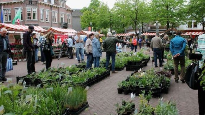 Eventteaser plantenmarkt Deurne, foto van de plantenmarkt 2023