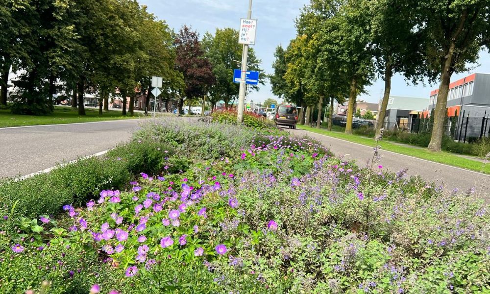 Werken bij Beheer en Onderhoud, foto van de berm tussen 2 wegen in