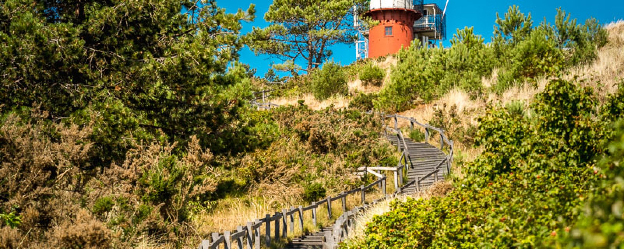 Duin met vuurtoren Vlieland