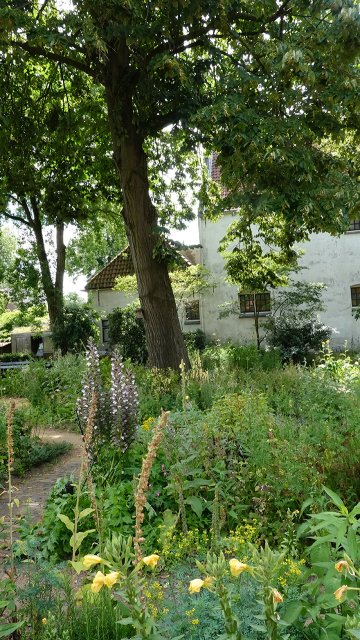 Kruidentuin, bomen, bloemen en planten