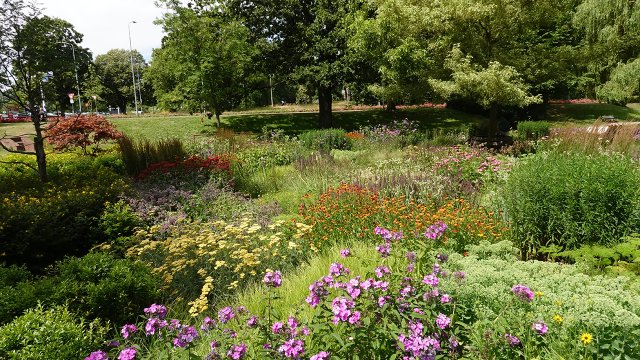 Parkje, bomen en bloemen