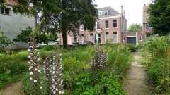 Kruidentuin, bomen, bloemen en planten