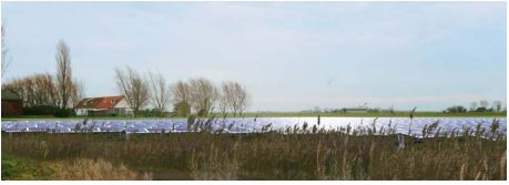 Op de horizon een boerderij met enkele bomen er omheen. Daarvoor een zonnepark laag aan de grond. Daar weer voor een stukje grasland