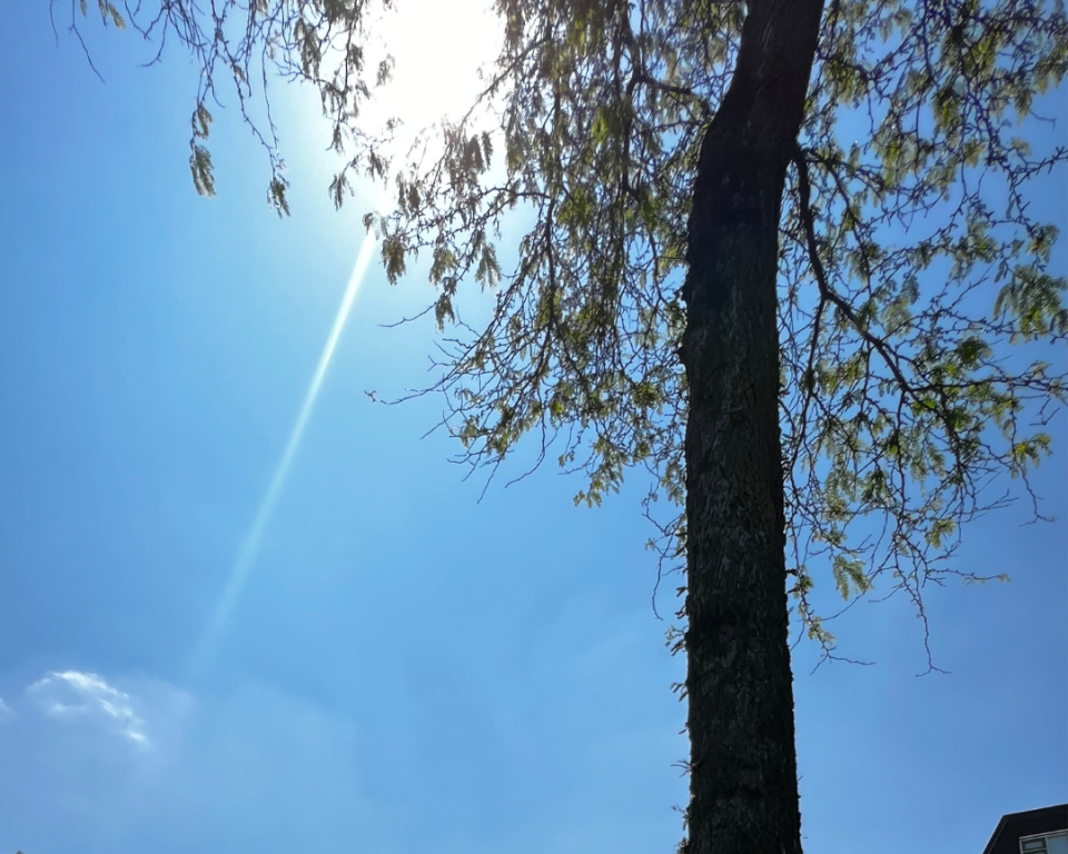 Zonnige dag in Doetinchem