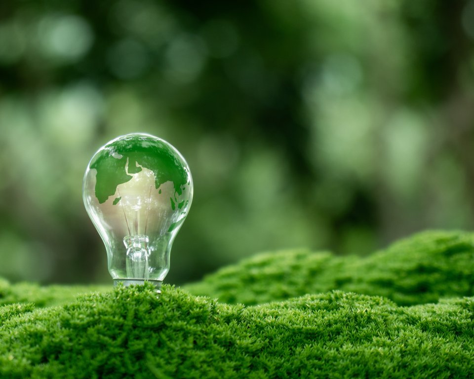 Lamp met mos - windenergie