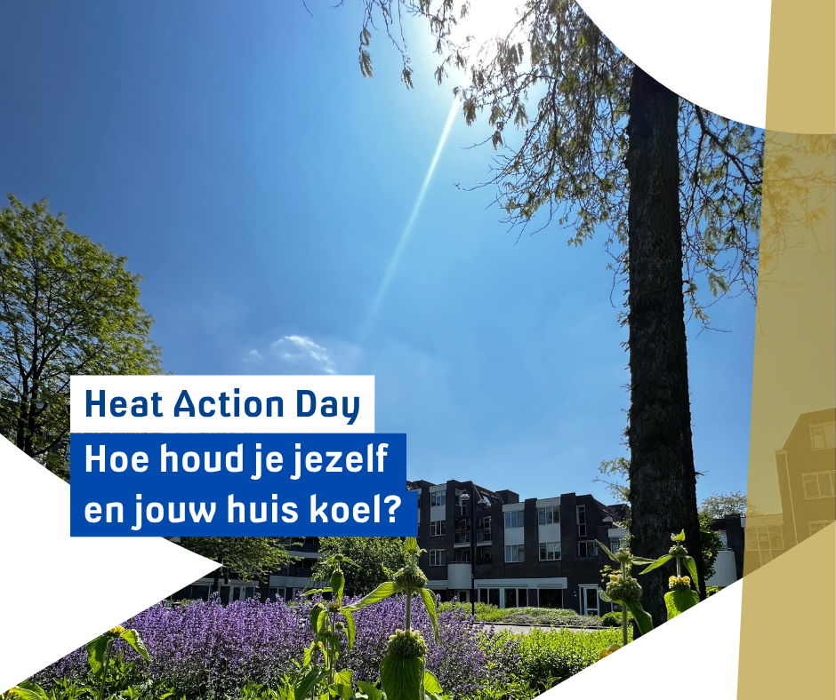 Zonnige dag met de tekst: Heat Action Day - Hoe hoed je jezelf en jouw huis koel?