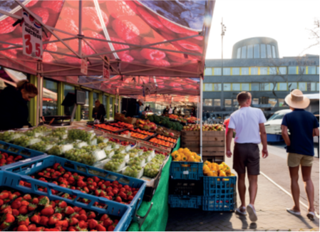 Markt Doetinchem met links een fruitkraam met personeel erachter. Er lopen twee mannen langs, die zie je op de rug. Op de achtergrond het stadhuis.