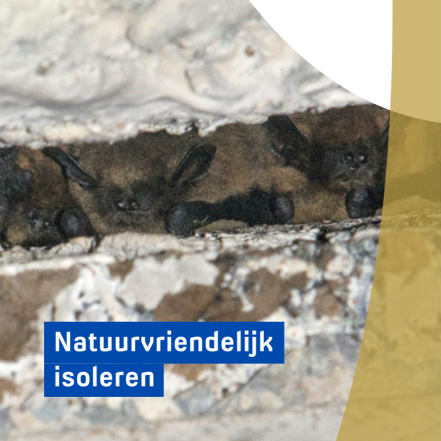 Natuurvriendelijk isoleren