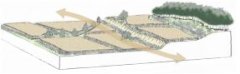 schematische volgorde van akkers, daarna een verhoging gevolgd door akkers. Daarachter een bosgebied