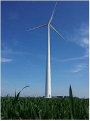 foto van 1 grote windturbine in een maisveld tegen een blauwe lucht