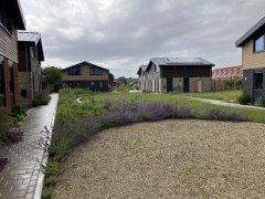 Sfeerbeeld van het startersproject