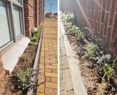 Langs de gevel van de woning is een smalle strook met verschillende plantjes. Direct daarna begint de bestrating