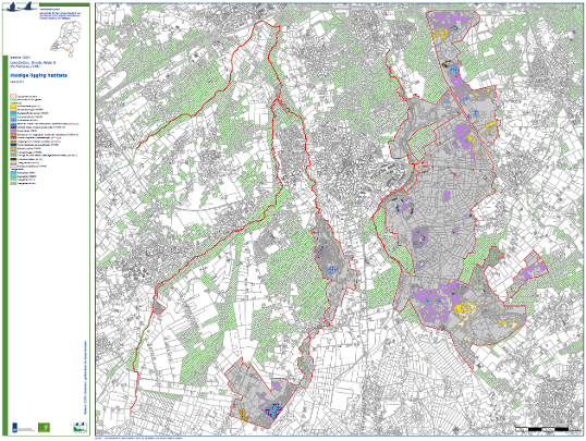 Kaart hibitattypen Groote Heide Leenderbos