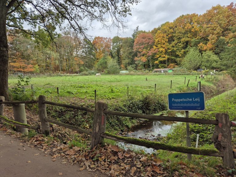 Poppelsche Leij bij Belgische grens