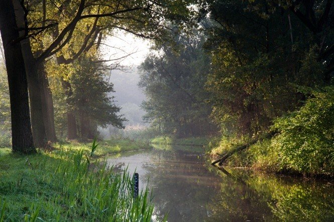 Beek bij Landschap Pauwels