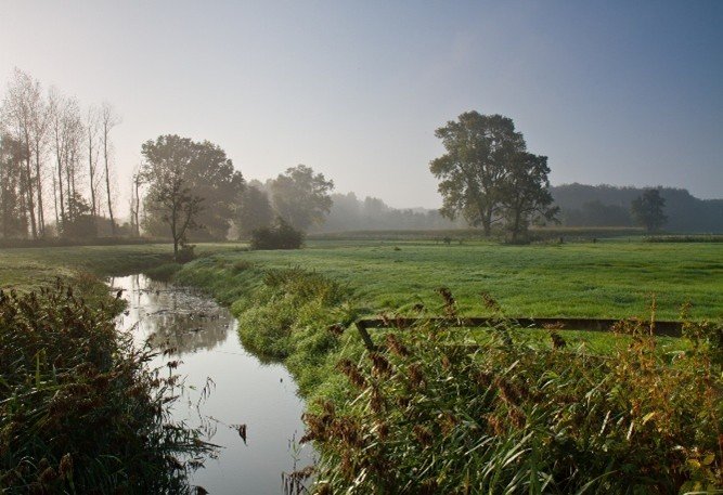 Beek bij Landschap Pauwels