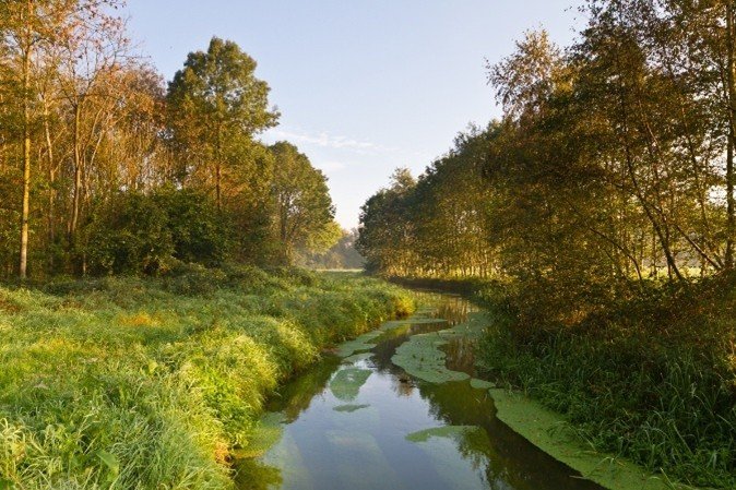 Beek bij Landschap Pauwels
