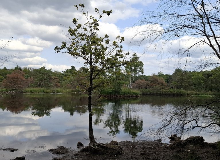 Ven Halve Maan ten zuiden van Regte Heide