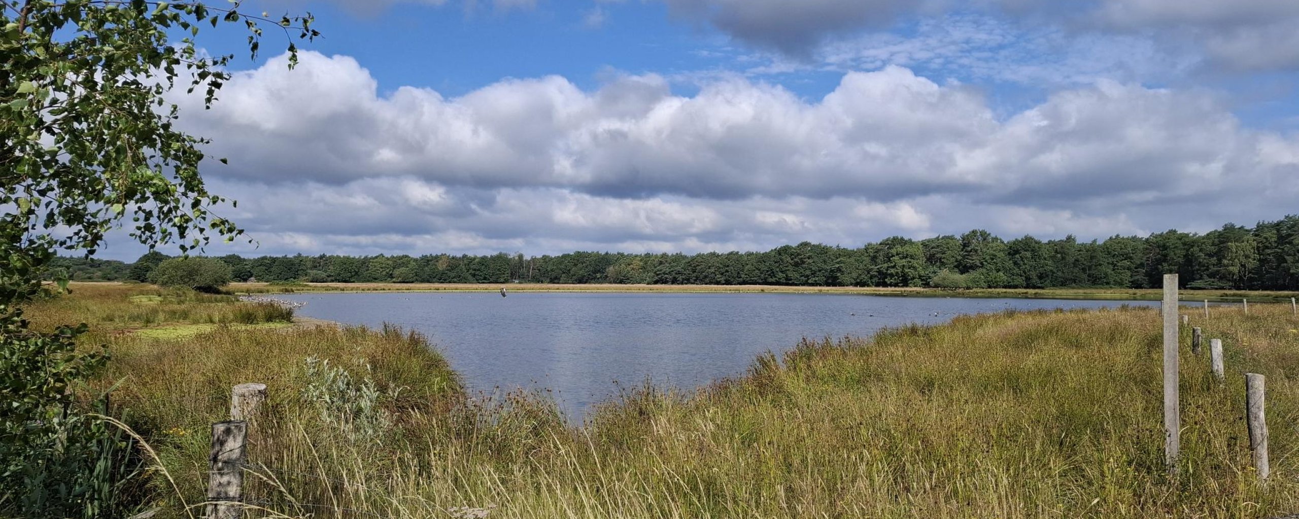 De Brand Oost - Hengstven