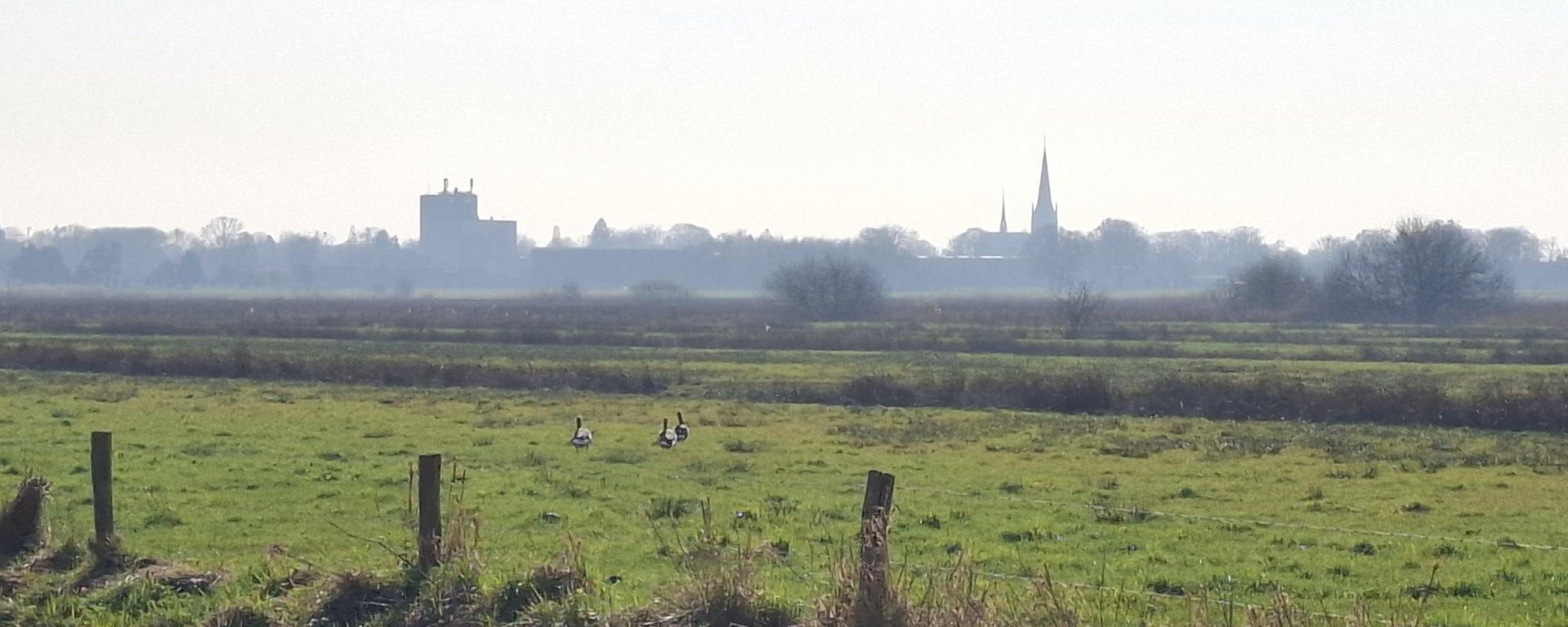 Natuurontwikkeling Helvoirts Broek
