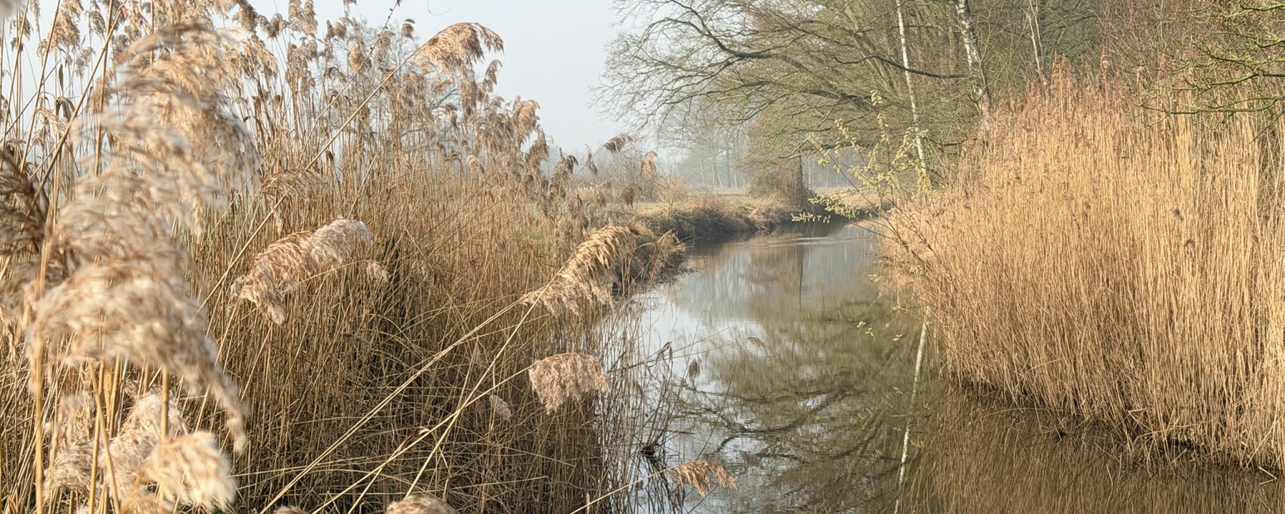 Voorste Stroom