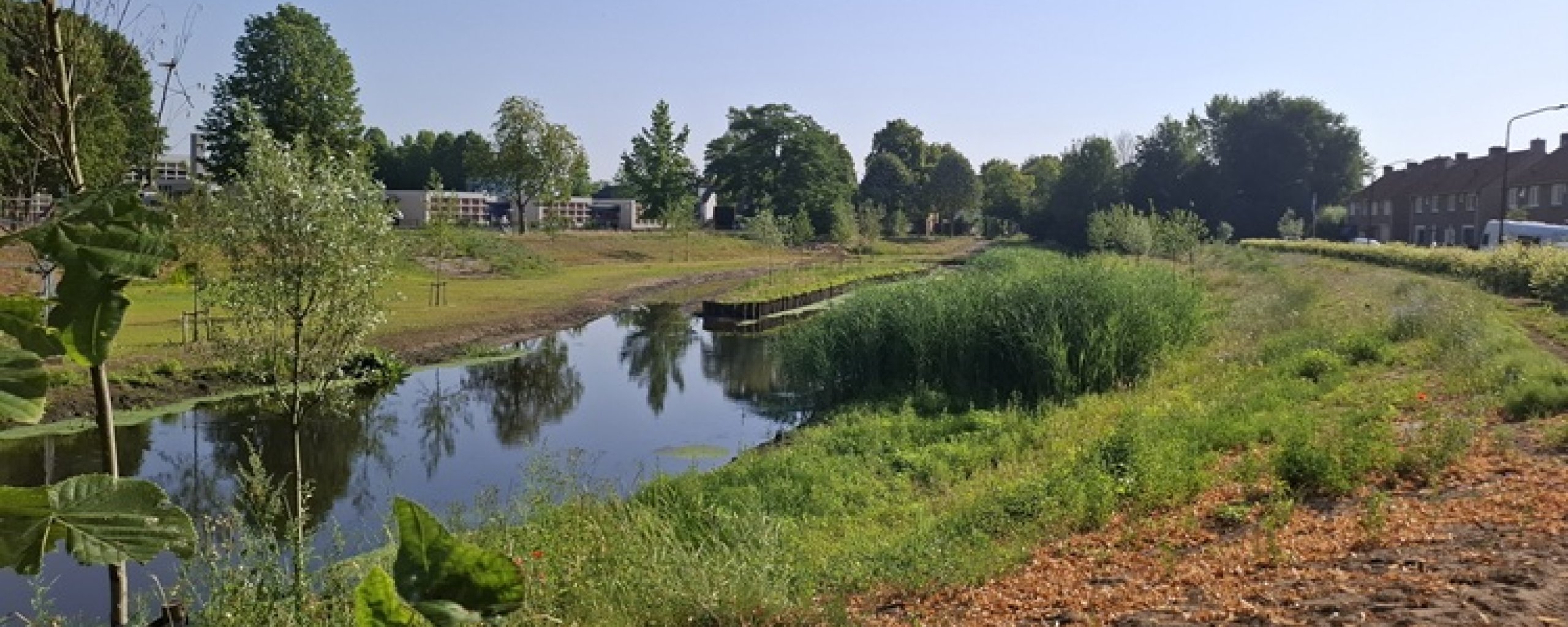 Verbreding van de Dommel bij de Odaschool in Sint-Oedenrode