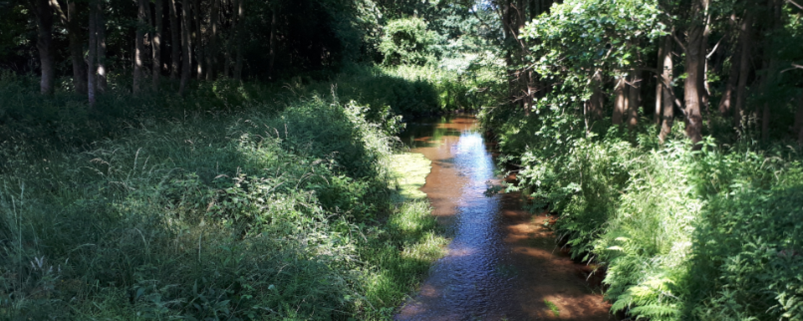 Deelproject Keersop Midden | Waterschap De Dommel