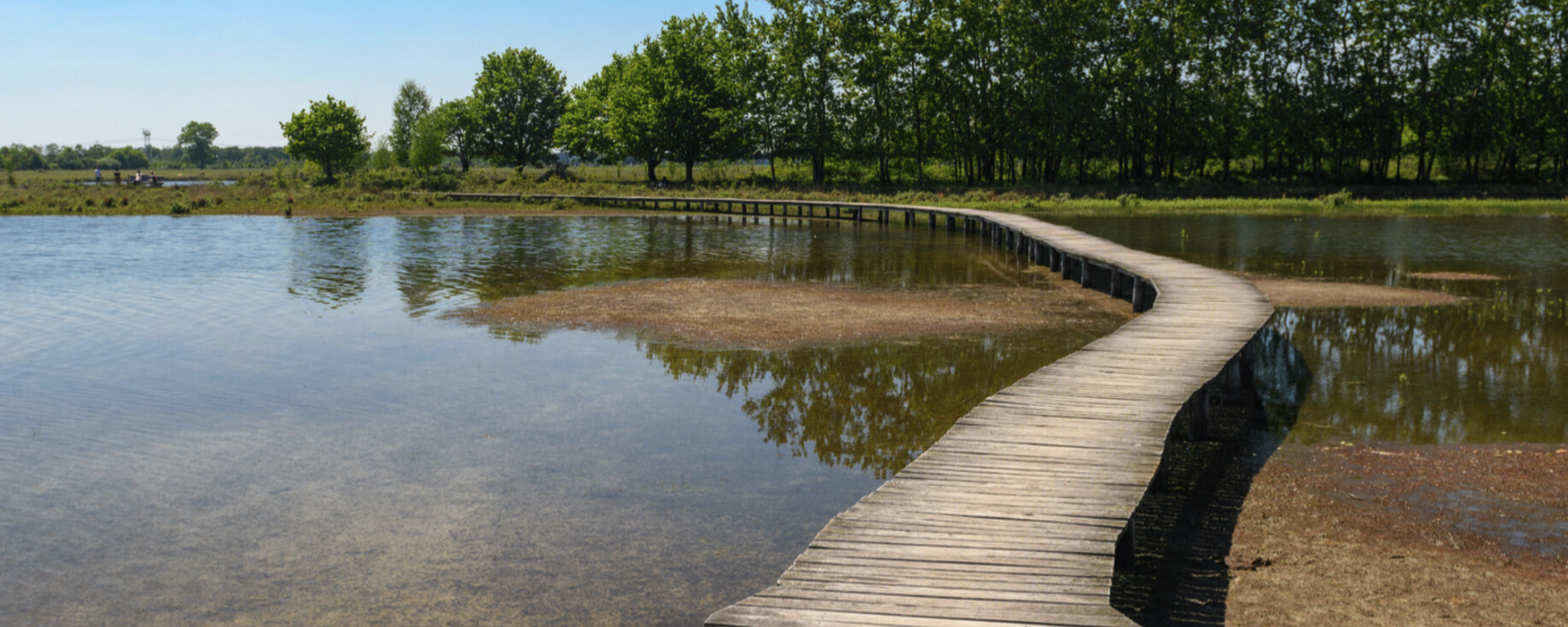 Landschap Pauwels, ven met vlonder