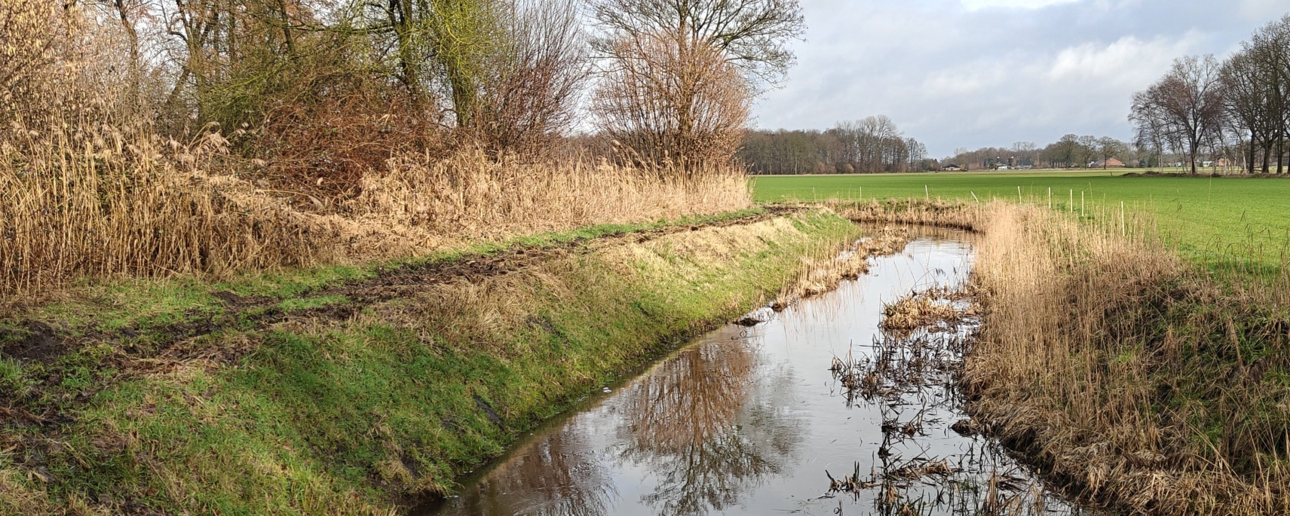 Nieuwe Strijper Aa