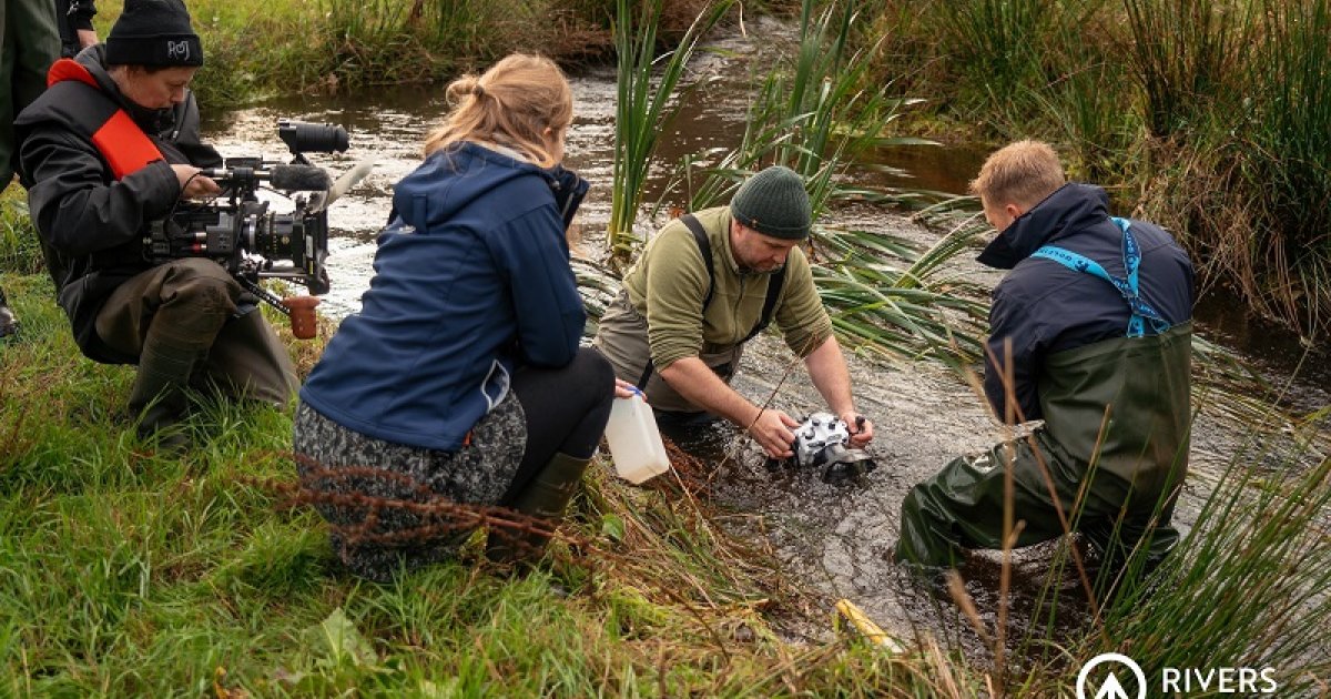 Bekijk indrukwekkende documentaire over de Dommel: 'Portrait of a River ...