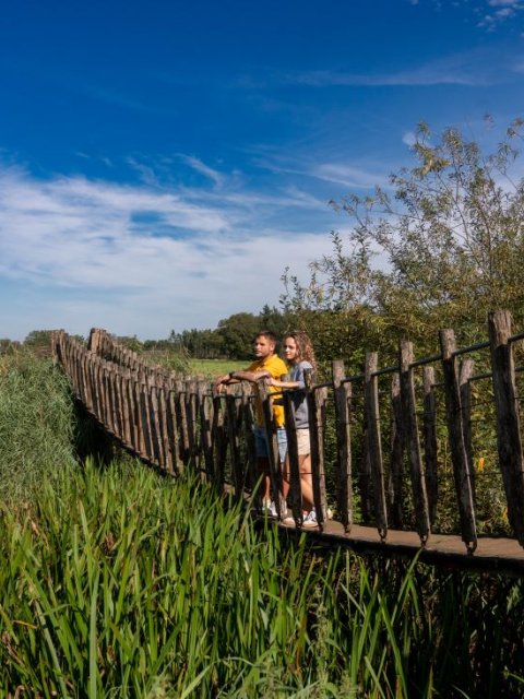 Een avontuurlijke brug over de Beerze in Spoordonk