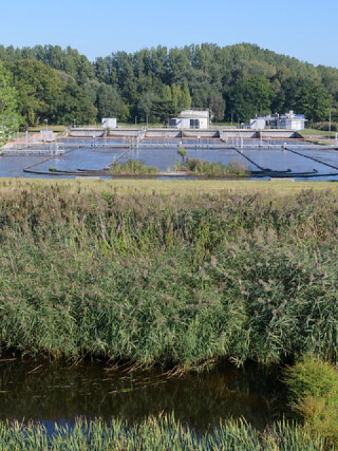 Foto van de rioolwaterzuivering in Sint-Oedenrode